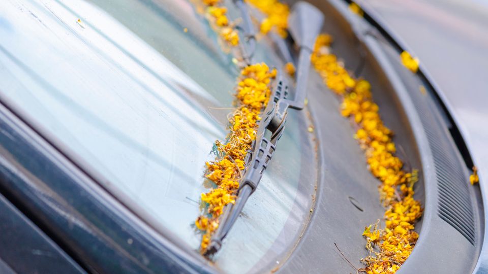 Cómo preparar tu coche para la primavera